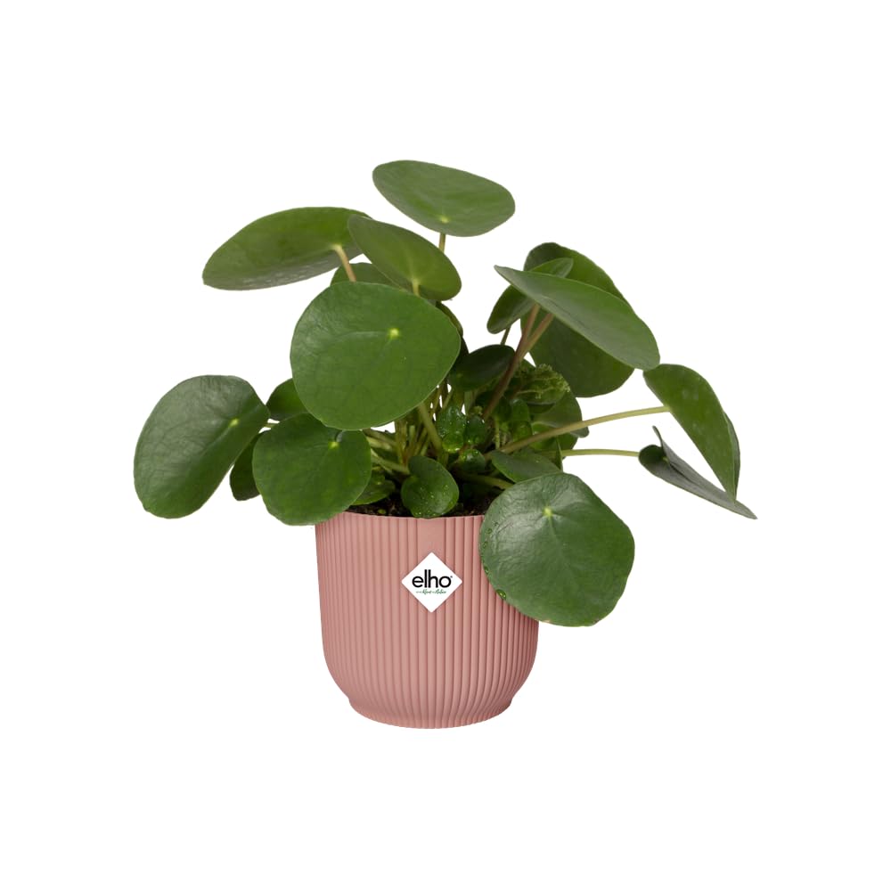 elho Vibes Fold Rund Rollen 35cm Blumentopf - Zartrosa | ∅ 34.9 x H 32.4 cm | für den Innenbereich | 100% recyceltes Plastik