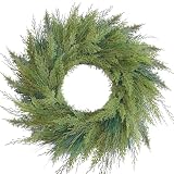 BINFEN 24in Faux Norfolk Pine Wreath