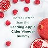 Natures-Bounty-Apple-Cider-Vinegar-Gummies-Energy-Metabolism-Supplements-Unfiltered-liquid-ACV-with-the-Mother-Non-GMO-Vegetarian-Vitamin-B12-Beet-Root-Pomegranate-500-Mg-120-Count Nature's Bounty Apple Cider Vinegar Gummies - Energy & Metabolism Supplements - Unfiltered liquid ACV with the Mother, Non-GMO, Vegetarian, Vitamin B12, Beet Root, Pomegranate (500 Mg, 120 Count)