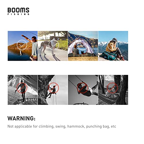 Image of Booms Fishing CC2 Carabiner Clip, 2.3 inch Small Carabiner Keychain, Multi-use Aluminium D Ring Caribeener Clips
