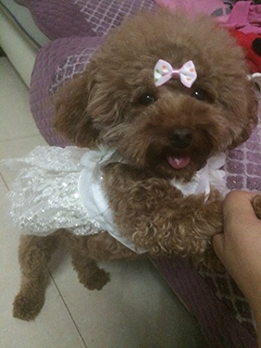 Topsung Small Dog Clothes Pet Costume Dog Dress Wedding Princess Clothes For Small Dogs/Cats Xs #TOP6