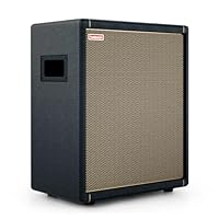 Positive Grid Spark CAB Gitarrenverstärker-Lautsprecherbox für Verstärker der Spark-Serie, Mehrere Instrumente, Modeler und Mehr