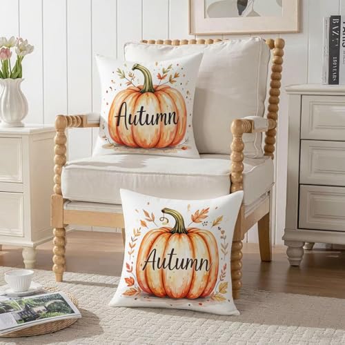 Housse Coussin 60x60cm Velours Citrouille Taie Oreiller Imperméable Canapé Décor A883