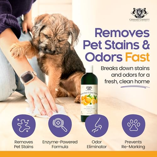 Natural Pet Stain and Odor Remover 16 Fl Oz Pet Urine Enzyme Cleaner with Dog & Cat Urine Odor Eliminator - Pet Carpet Cleaner Solution with Citrus Oil Blends - Enzymatic Cleaner by Gerrard Larriett - Image 3