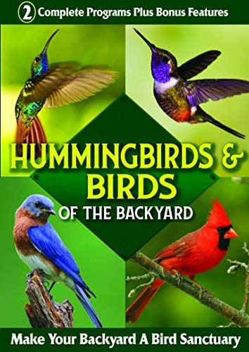 Hummingbirds: identificación y hábitos de aves silvestres 2