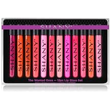 SHANY Lip Gloss Makeup Set, 12 Piece Professional Lip Color Collection with Shimmer and Pearl Finishes, Enriched w Aloe Vera Vitamin E, Long Lasting Glossy and Moisturizing Lip Luminizer - Wanted Ones