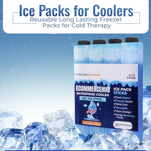Image of Ice Packs for Coolers Reusable Long Lasting Freezer Sealed Leck Proof Packs for Lunch Bags /Boxes, Cooler Backpack, Camping, Beach, Picnics,Sports Fishing and More (Set of 4, Blue)