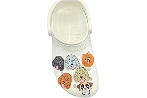 School Subject Vocabulary Shoe Charms for Crocs