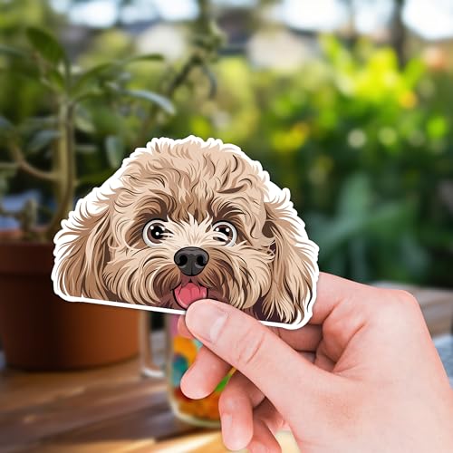 Image of Poodle Dog Sticker 8 Pcs (Large Size) Vinyl Stickers Laptop Waterproof Decal for Car Bumper Water Bottle Window Funny Party Birthday Decorations - Size 4 Inches