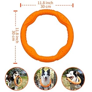 Laroo dog flying ring toys floating flying dog disc toys summer pet training outdoor durable chew toys for medium and large dogs large orange30cm   cucciolini doodles