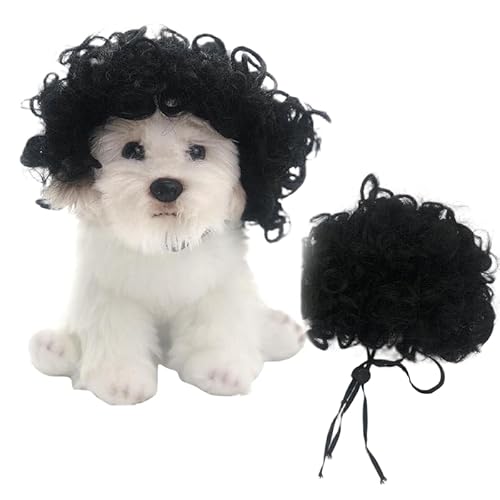 Lp ybgpEBbO  {u/At/cCe[ V[g Beɂ RXv nEB NX}X ߉\ EȒP