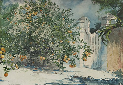 Get Custom Art Winslow Homer - Orange Trees and Gate,