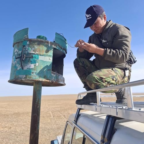 Landscape of Fear: How Saker Falcons Shape the Steppe - with Dr Andrew Dixon