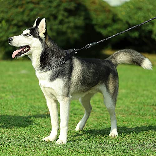 Cbbpet Dog Prong Collar, Adjustable Dog Training Collar With Quick Release Buckle For Small Medium Large Dogs #TOP6