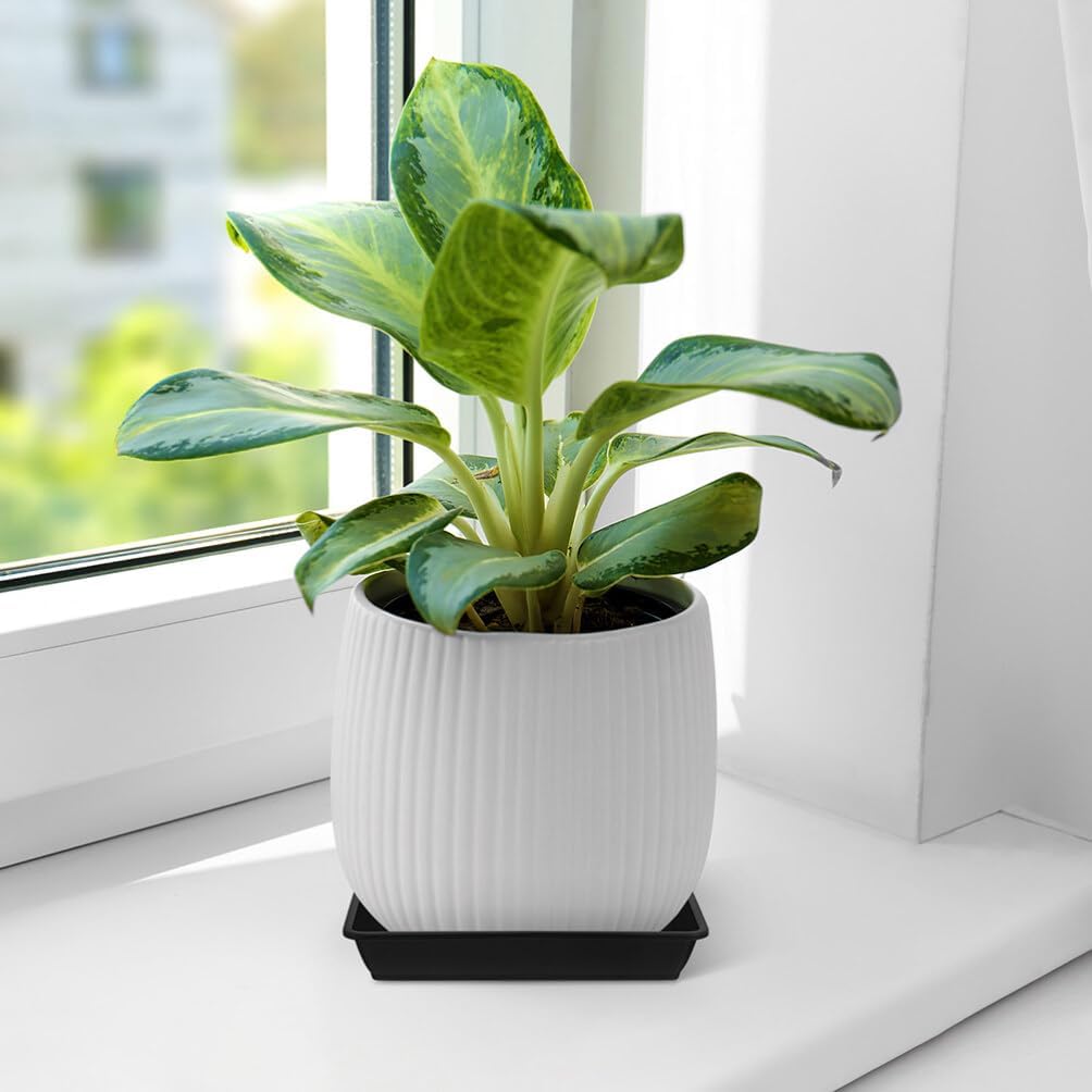 10pcs Durable Plant Saucer Trays for Flower Pots Drip Trays for Indoor and Outdoor Use Water Collection Saucers for Bonsai and Potted Plants Inner