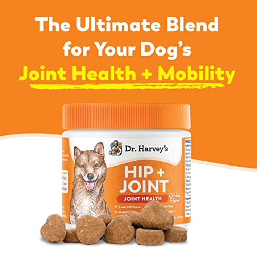 Dr. Harvey's Hip & Joint Soft Chews For Dogs, Daily Mobility Supplement Chewable Treats For Dogs With Glucosamine, Chondroitin & Msm, Green Lipped Mussel, Chicken Flavor (90 Chews) #TOP1