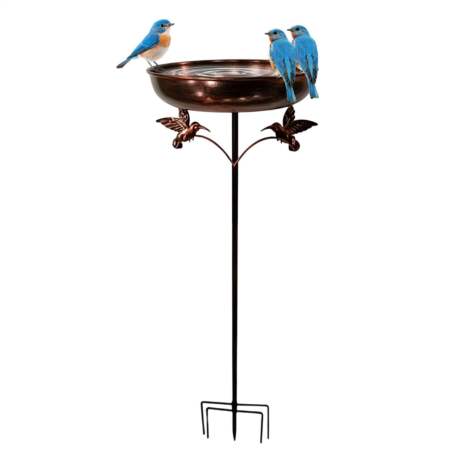 Bain d'oiseaux extérieur et abreuvoir colibris pour jardin