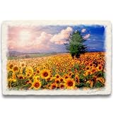 Natural Memories 玄関に飾ると運気が上がる絵画 和紙の絵写真 太陽とひまわり畑の丘とカラマツ 水晶入り パネル付き 48x33cm