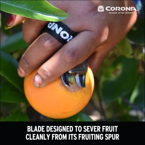 Tijeras corona para manzanas y naranjas miniatura 3