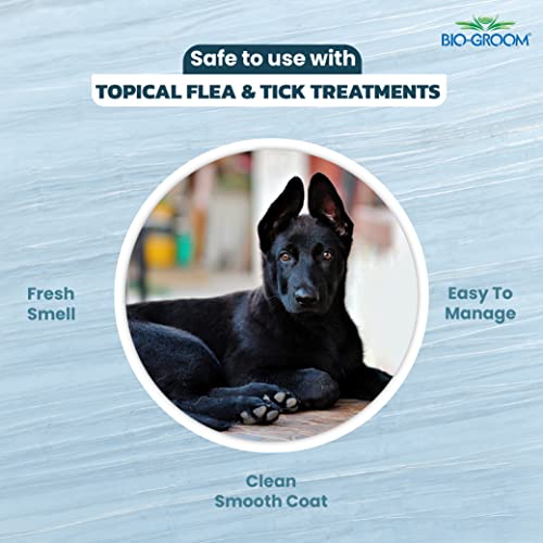 Image of Bio-Groom Ultra Black Colour Enhancing Dog Grooming Shampoo, Controls Matting, Tangling and Fly Away Fur Brings Shine to Dull Coat with Soy Protein, Coconut Oil Prevents Dryness, 355 Milliliter | Enhances Black & Dark Coats