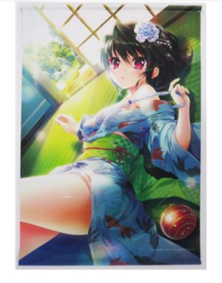 ぱれっと 9-nine- アニメイト特典 B2タペストリー 結城希亜 和泉