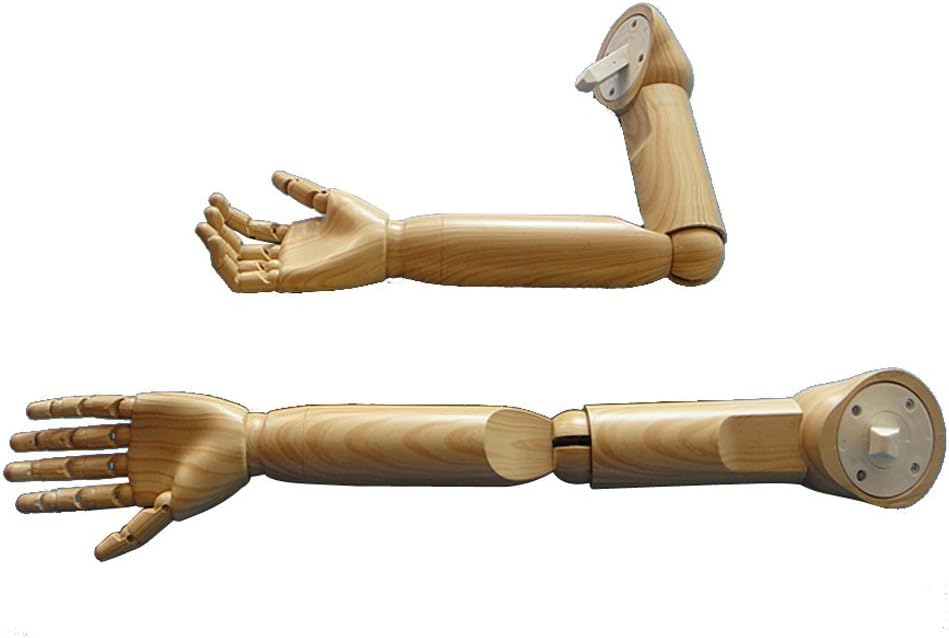 Kukin Flexible Joints of Baby's Mannequin arms and Hands