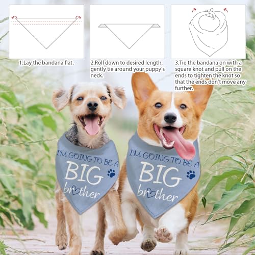 arricraft 1 Pc Pet Dog Bandana - Image 4