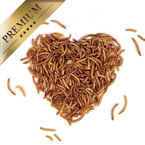 Lyra Pet® | 5 kg Mehlwürmer getrocknet | Proteinreiches Vogelfutter | Für Wildvögel, Nager, Reptilien & Fische | Nahrhaftes Futter | Energiespender für Insektenfresser | Vitamine & Mineralstoffe