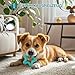 LIFLIX Hundespielzeug Kleine Hunde - 4 Stück Welpenspielzeug Kleine Welpen - Interaktives Kauspielzeug Hundeball und Quietschspielzeug- Eulen Form