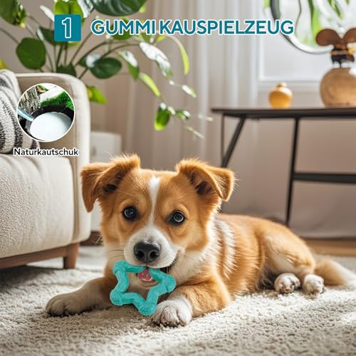 LIFLIX Hundespielzeug Kleine Hunde - 4 Stück Welpenspielzeug Kleine Welpen - Interaktives Kauspielzeug Hundeball und Quietschspielzeug- Eulen Form