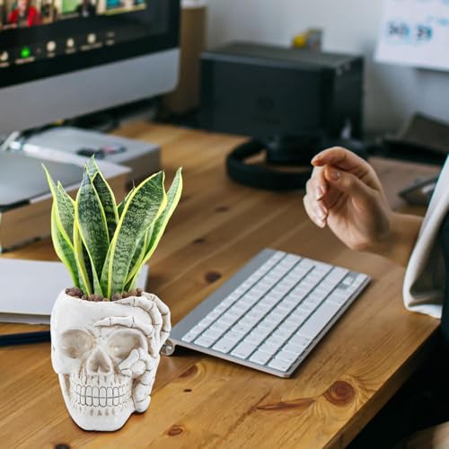 Pot de fleurs tête de mort en résine, l'idée cadeau vacances et maison