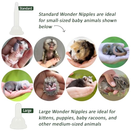 Exotic Nutrition Baby Animal Nursing Set - Milk Replacer Formula, Feeding Syringes, Heating Pad - Sugar Glider, Squirrel, Opossum, Rabbit & Other Mammals