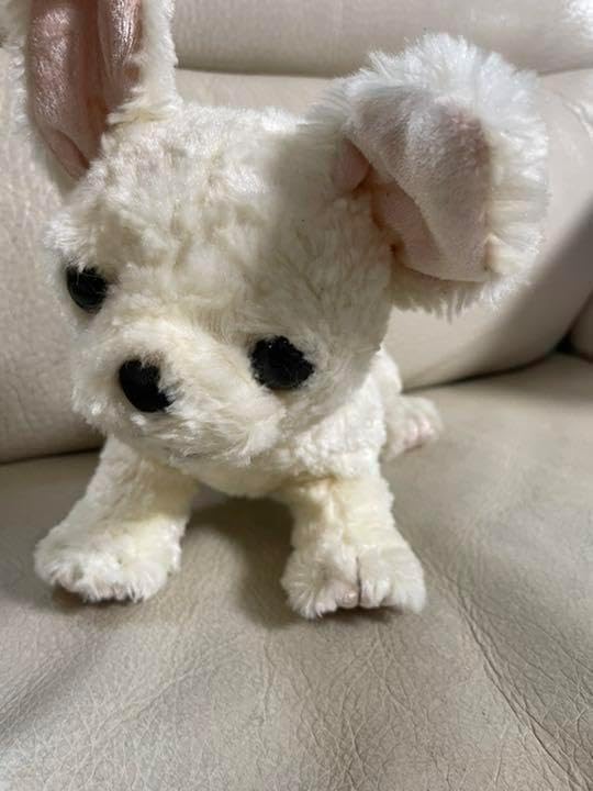 OIKEオーイケ癒し系ドッグぬいぐるみ オオイケ 犬 ポメラニアン