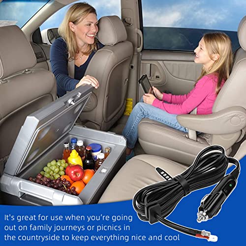 Portable Electric Cooler for Camping