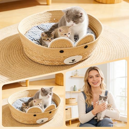 Maison pour chat d'intérieur pour protéger chatons et chiots - 8
