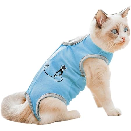Pets at home cat recovery suit Clearance