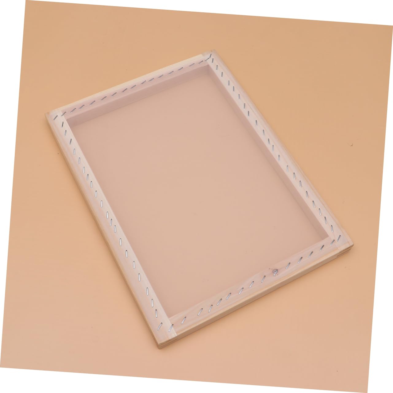 TEHAUX 1set Kit Di Stampa Serigrafica Professionale Con Raschietto e Pellicola Trasparente Nastro Maschera e Accessori Per Progetti Creativi Di Stampa