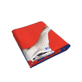 Amazon.co.jp: 横浜denaベイスターズ タオル 入江大生 直筆 22番