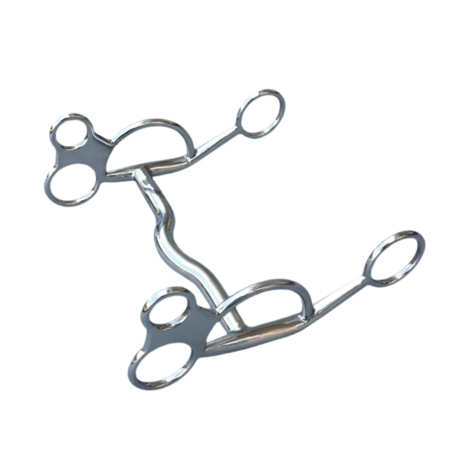per cavallo in acciaio inossidabile, finitura splendida, di grandi dimensioni, comodo per l'addestramento e l'equitazione, piacevole per gli appassionati, filetto per