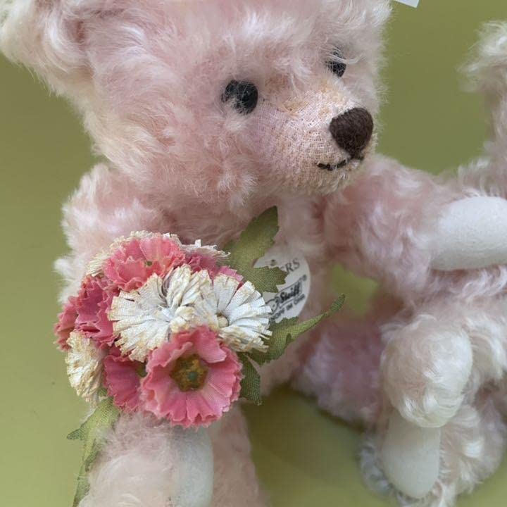 【白タグ限定】シュタイフ シスターズ シュタイフ シスター 限定 白タグ