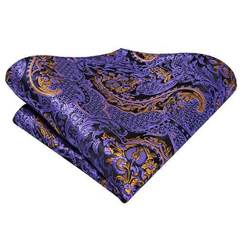 Image of Hi-Tie Paisley Floral Ties Set for Men Silk Mens Stripes Necktie Pocket Square Cufflinks Set Formal Business