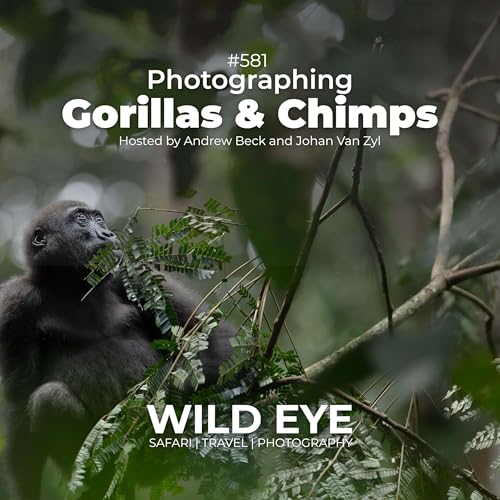 #581 - Photographing Gorillas and Chimpanzees