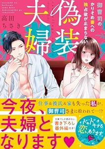 偽装夫婦～御曹司のかりそめ妻への独占欲が止まらない～ (ベリーズ文庫)