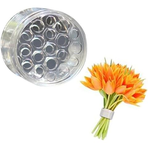 Spiral Ikebana Stem Holder, Spiral Stem Holder for Vases, Spiral Flower Stem Holder, Spiral Stem Holder Ring, Spiral DIY Floral Art Accessory Flower Arrangement Holder (Clear, L) Cover