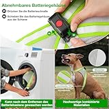 ChalkLit LED Leuchtendes Hundegeschirr USB Wiederaufladbares Vollständig Beleuchtetes Hundegeschirr Leuchtet Im Dunkeln für Nachtspaziergänge Sicherheitsweste, mittelgroße große Hunde (Grün, L)