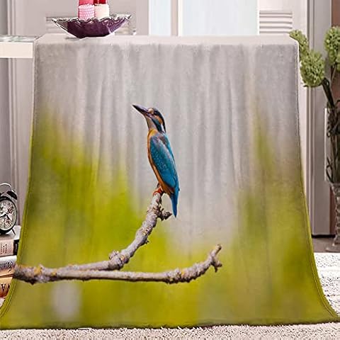 ZJFHNB Flannel Blanket kingfisher 71 x 78.7inch Home Blankets, Fluffy Blanket Warm Bed Throws for Sofa and Pet,Exquisite Comfortable Flannel Fleece Blanket Cover