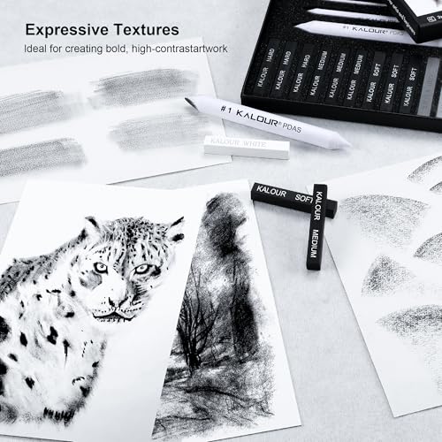 KALOUR Conjunto de desenho 15 profissionais de carvão comprimido com tocos de mistura - macio, médio