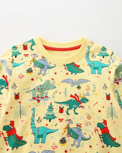 Image of AIWUHE Toddler Cotton Sweatshirt Boys Girls Pullover Long Sleeve Tops 2-6Y | Tops Blouse, Cotton T-Shirt, Fall Winter Clothes