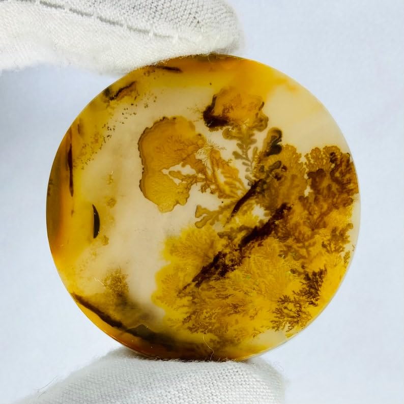 Agate dendritique Shajar naturelle cabochon 38mm gemme de collection joaillerie