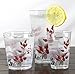 Reston Lloyd 8-Ounce Acrylic Drinkware Set of 6, Juice, Red